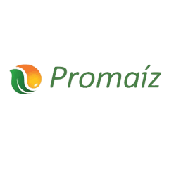 Promaíz